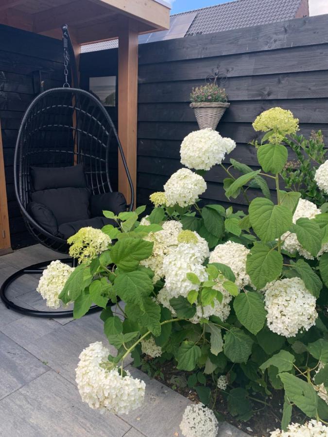 Logies Zen & Zilt Veere Villa Exterior foto