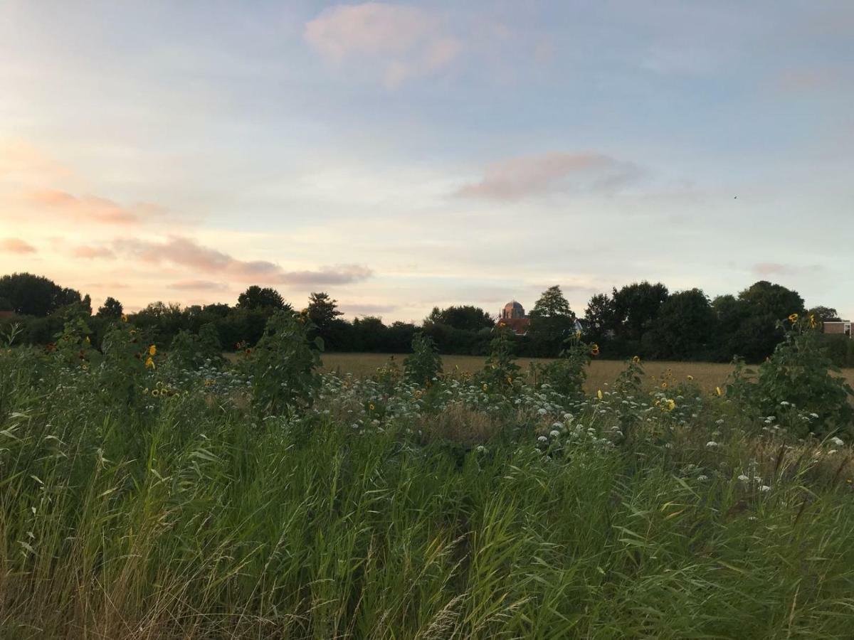 Logies Zen & Zilt Veere Villa Exterior foto